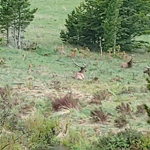 Meet your Posher, Zach